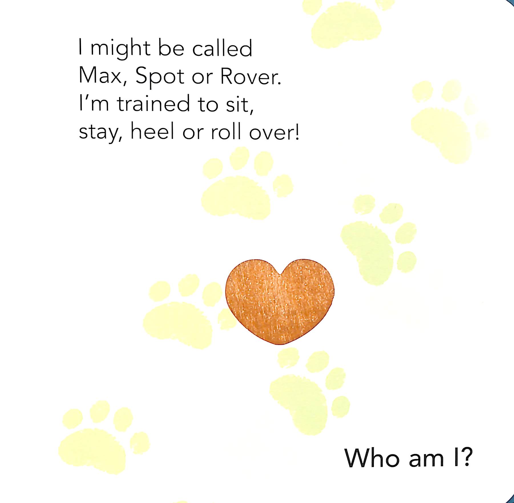 who am i? touch & feel flap book: pets - Ảnh 5