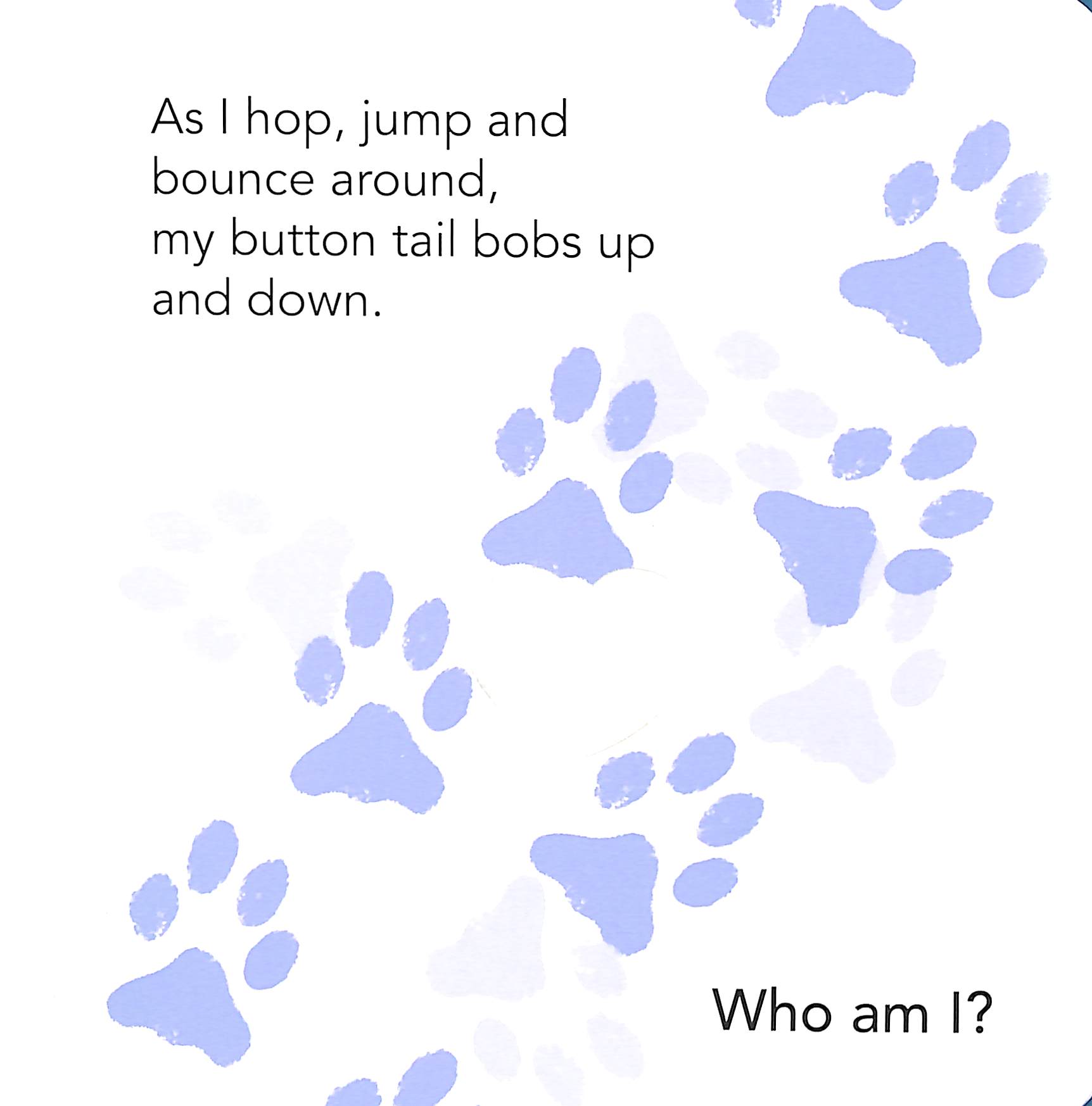 who am i? touch & feel flap book: pets - Ảnh 6