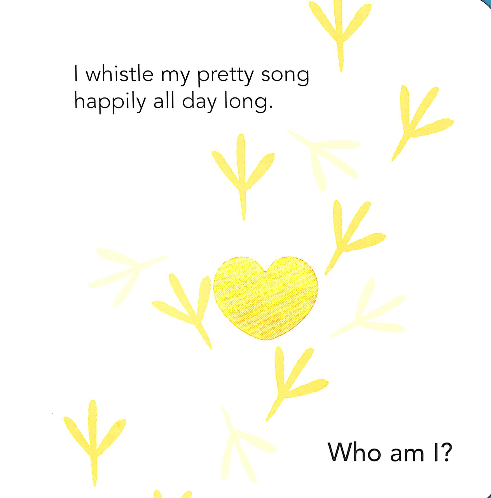 who am i? touch & feel flap book: pets - Ảnh 7
