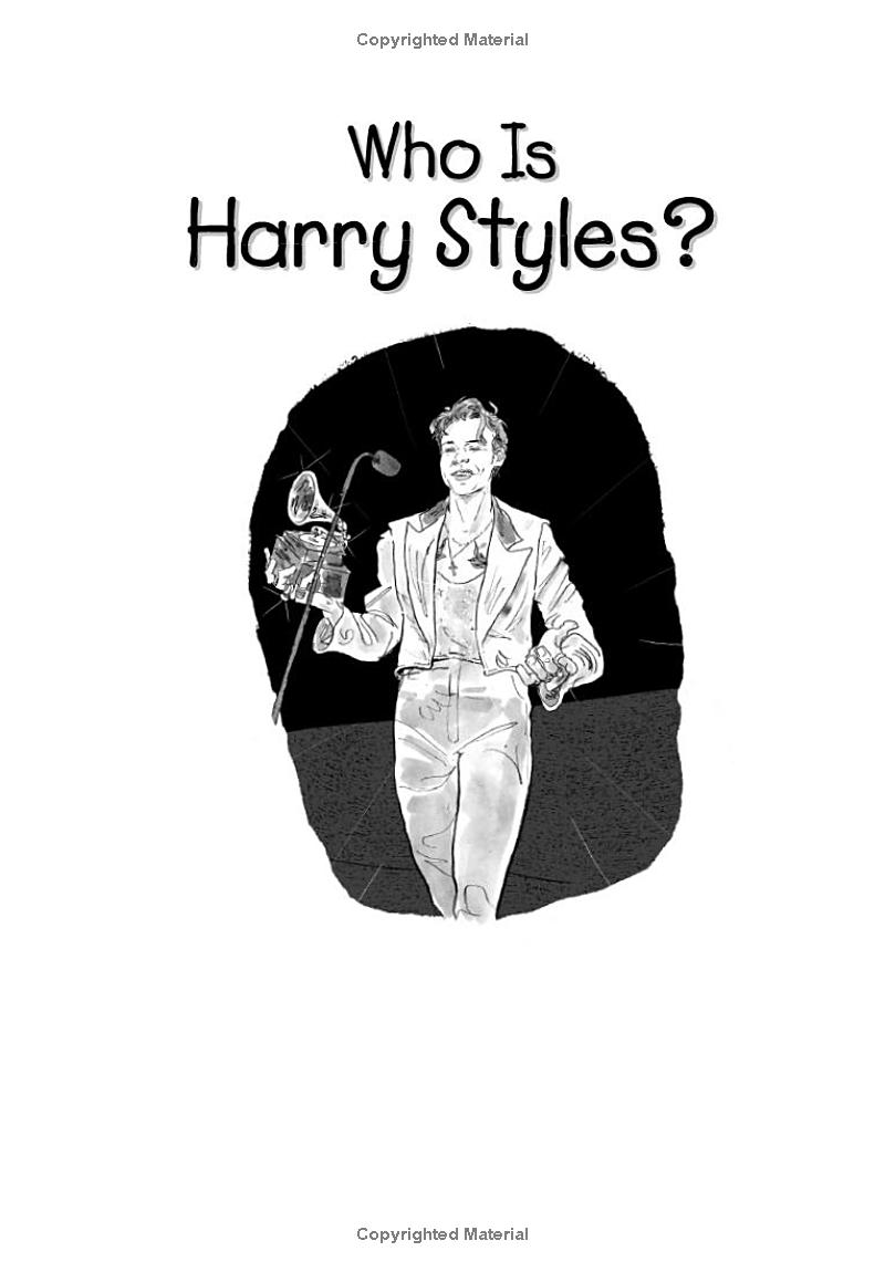 who is harry styles? - Ảnh 3
