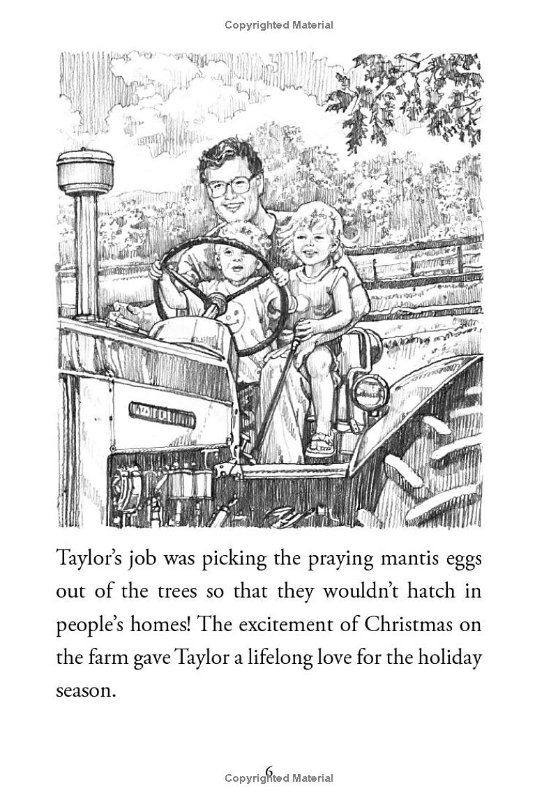 who is taylor swift? - Ảnh 9