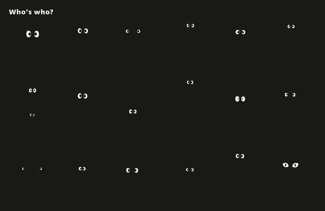 who's hiding? - Ảnh 5