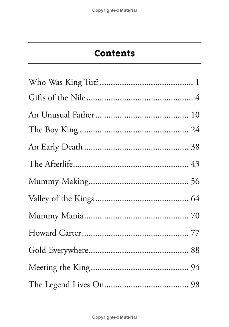 who was king tut? - Ảnh 4