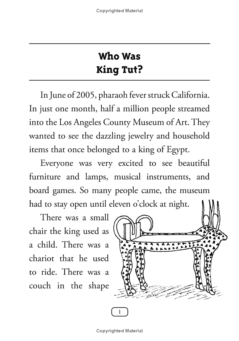 who was king tut? - Ảnh 5