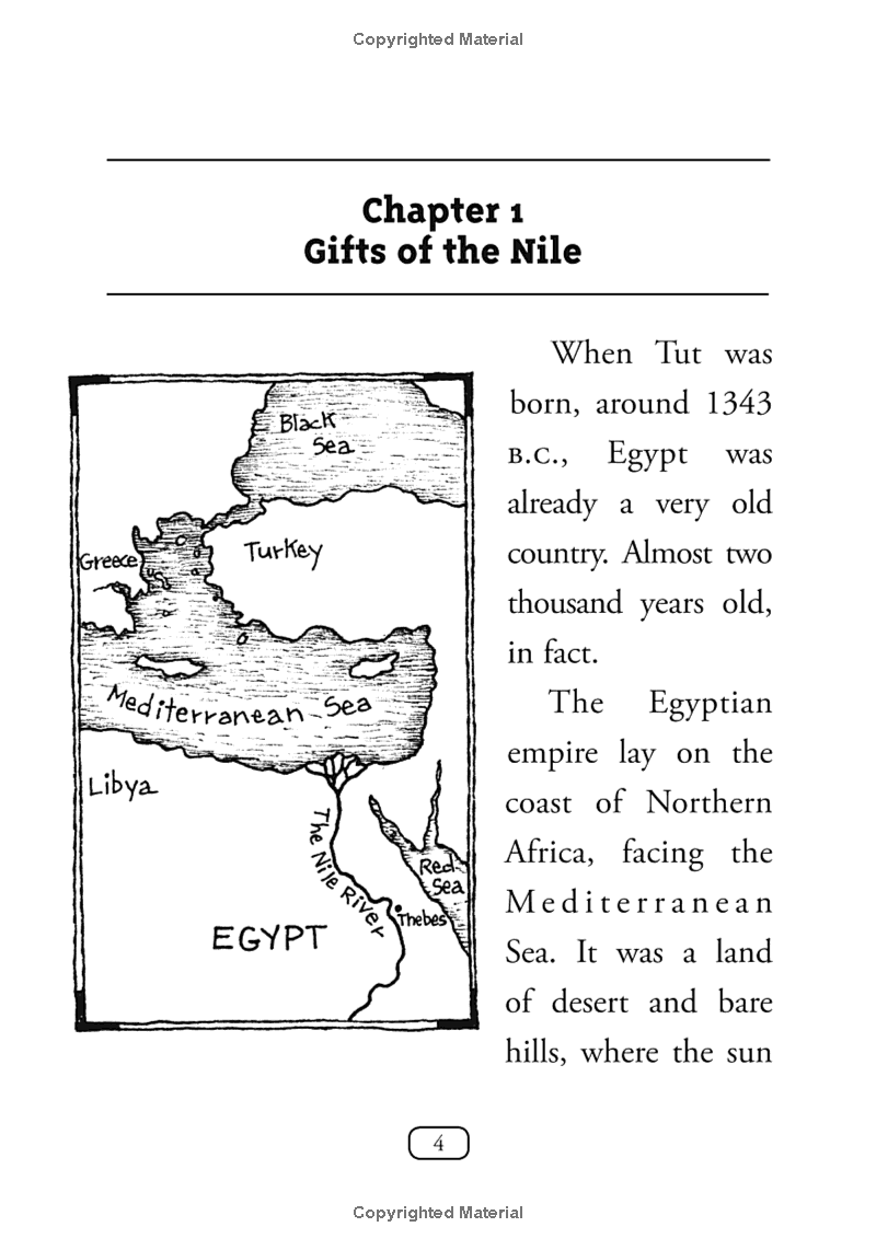 who was king tut? - Ảnh 8