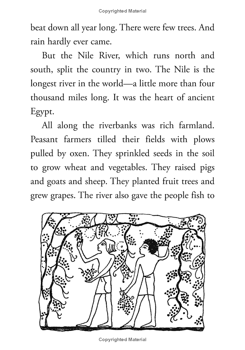 who was king tut? - Ảnh 9