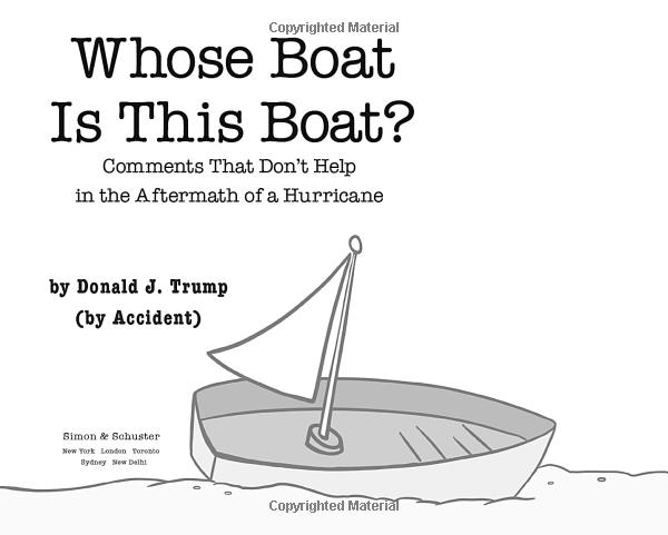 whose boat is this boat? - Ảnh 3