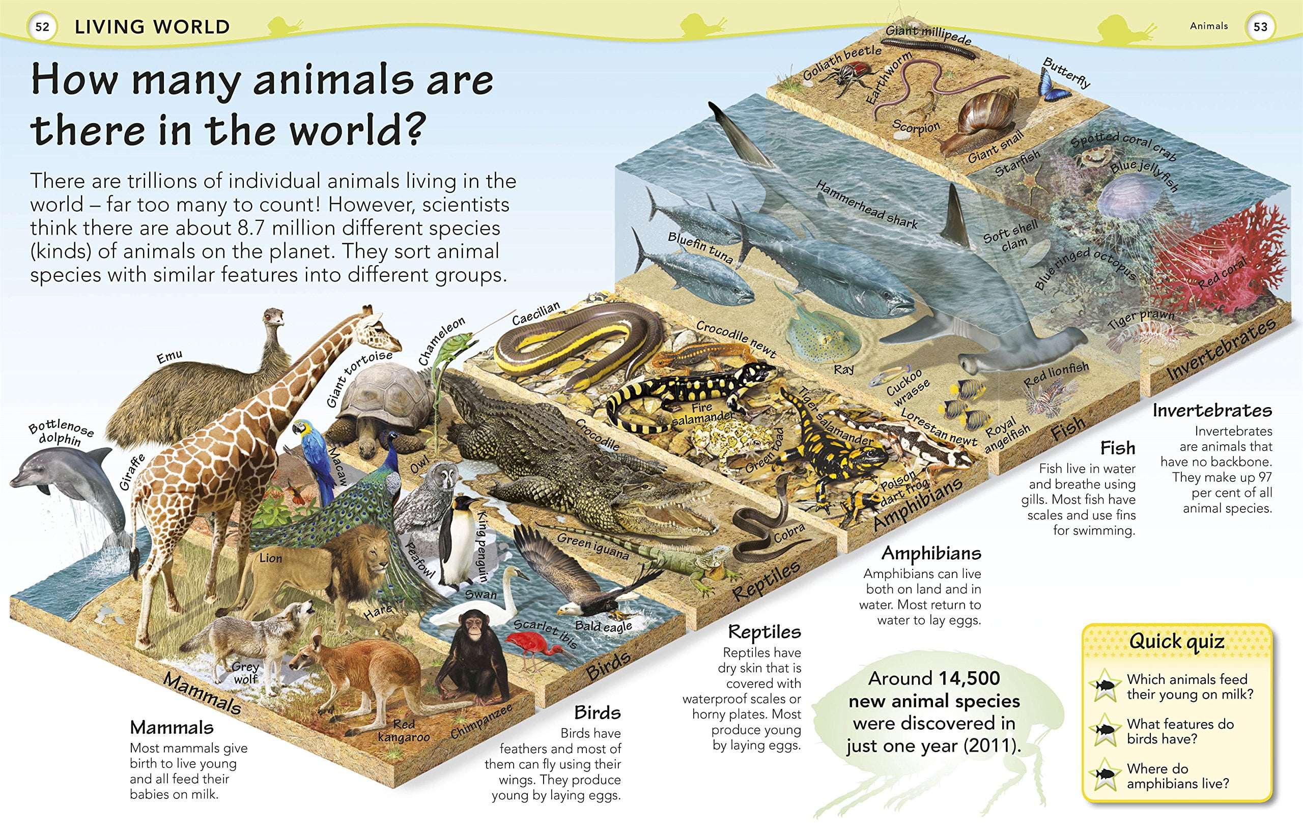 why? encyclopedia (hardcover) - Ảnh 5