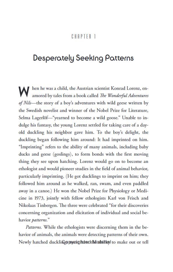 Why Machines Learn - Ảnh 9