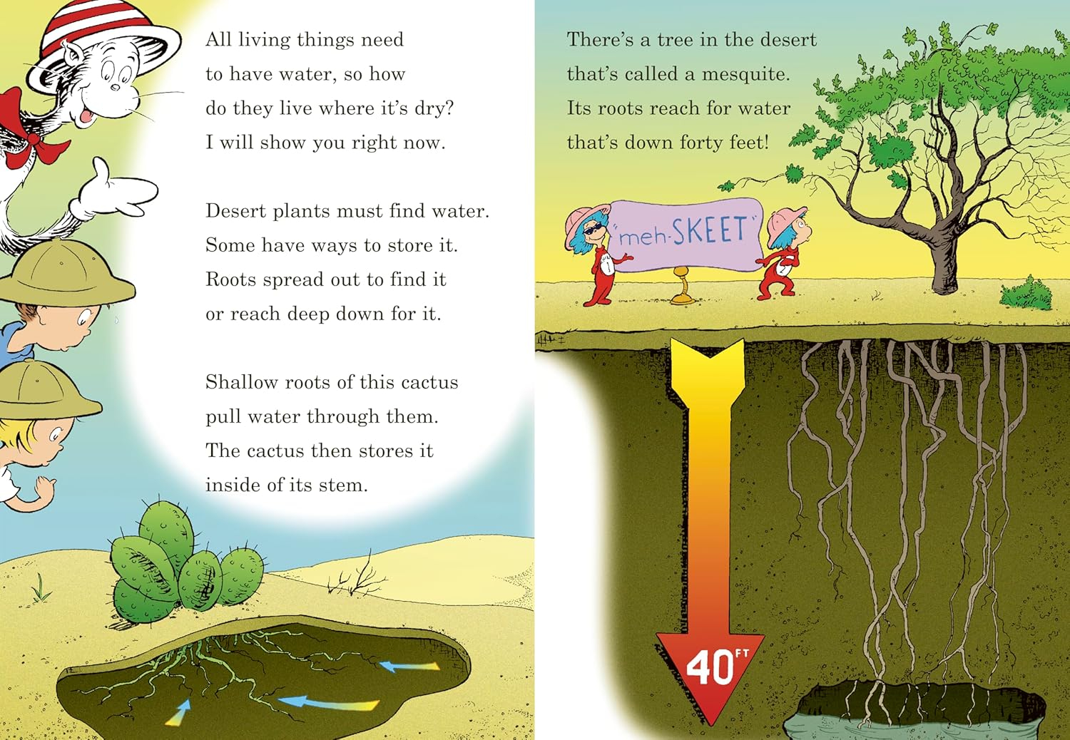 why oh why are deserts dry? - Ảnh 5