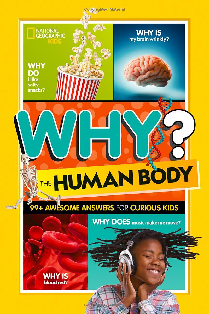 why? the human body - Ảnh 2