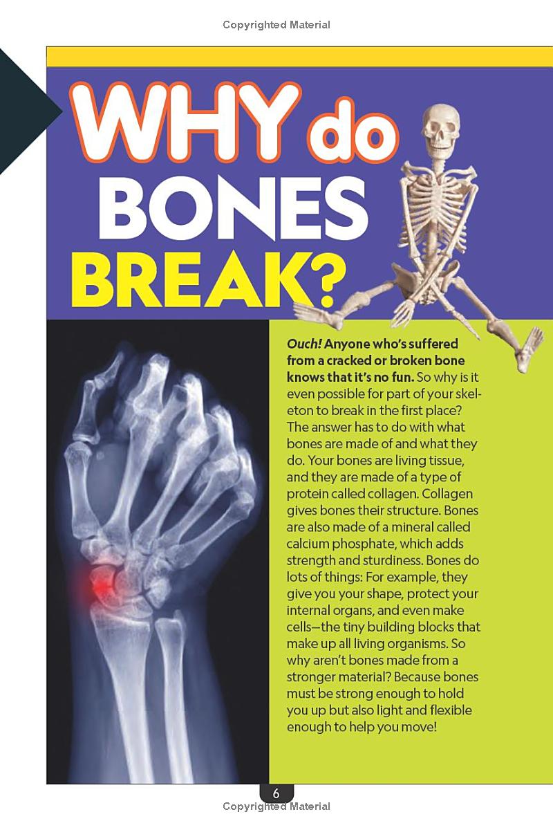 why? the human body - Ảnh 3