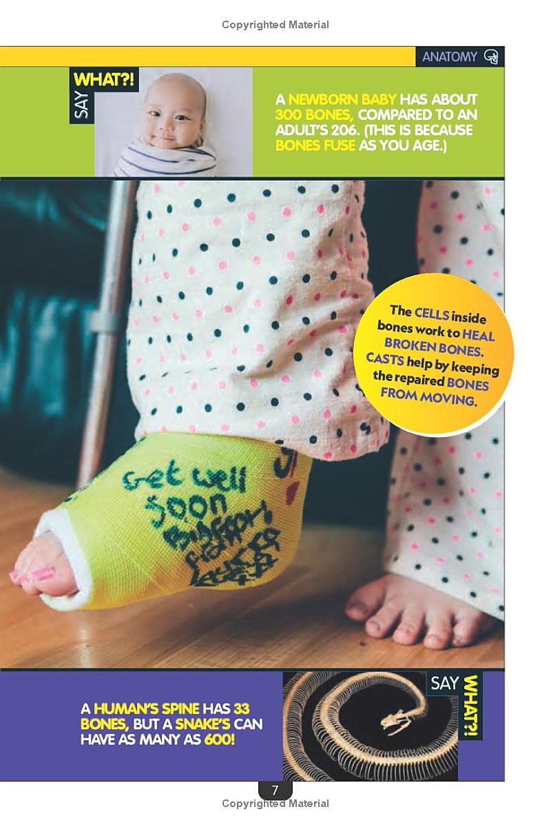 why? the human body - Ảnh 4