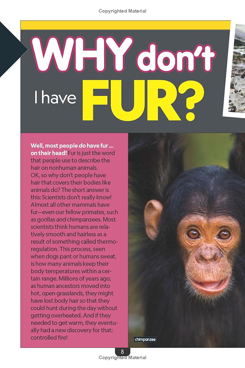 why? the human body - Ảnh 5