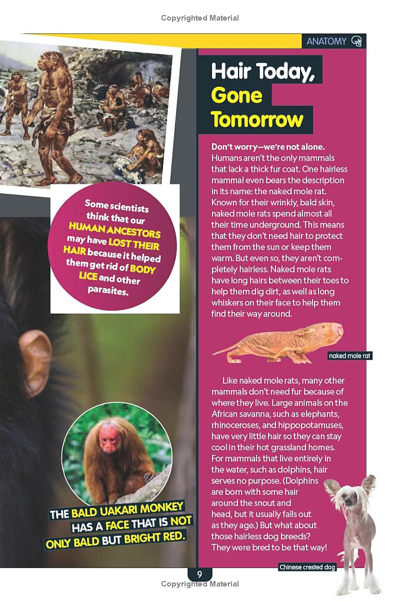 why? the human body - Ảnh 6