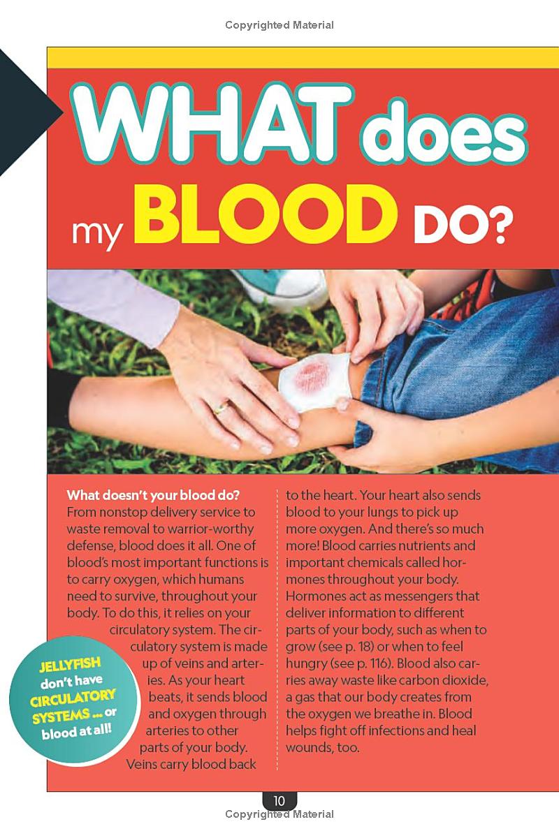 why? the human body - Ảnh 7