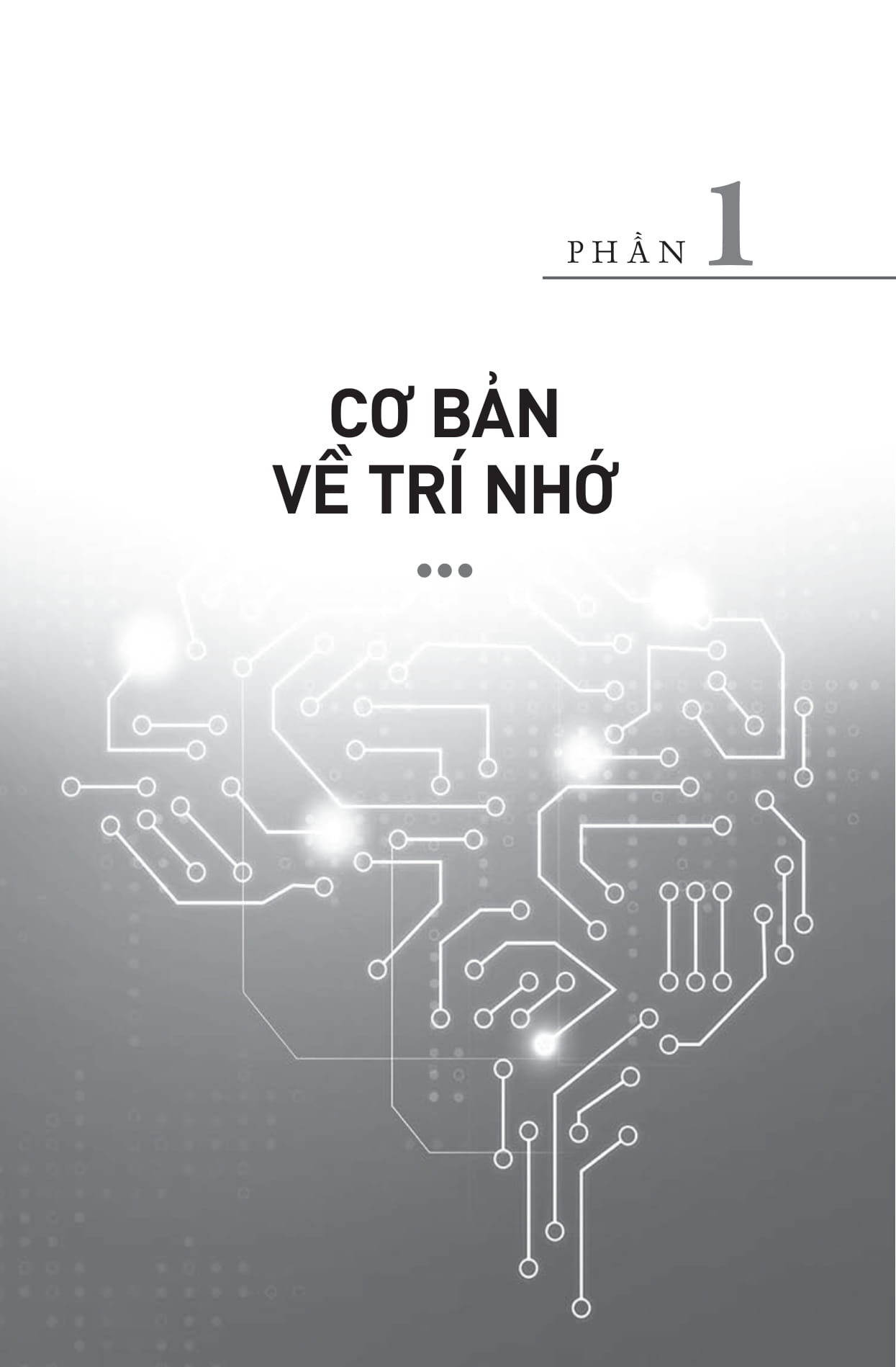 Why We Remember - Sự Thật Về Trí Nhớ - Mở Khóa Sức Mạnh Ký Ức Để Tối Ưu Việc Ghi Nhớ - Ảnh 15