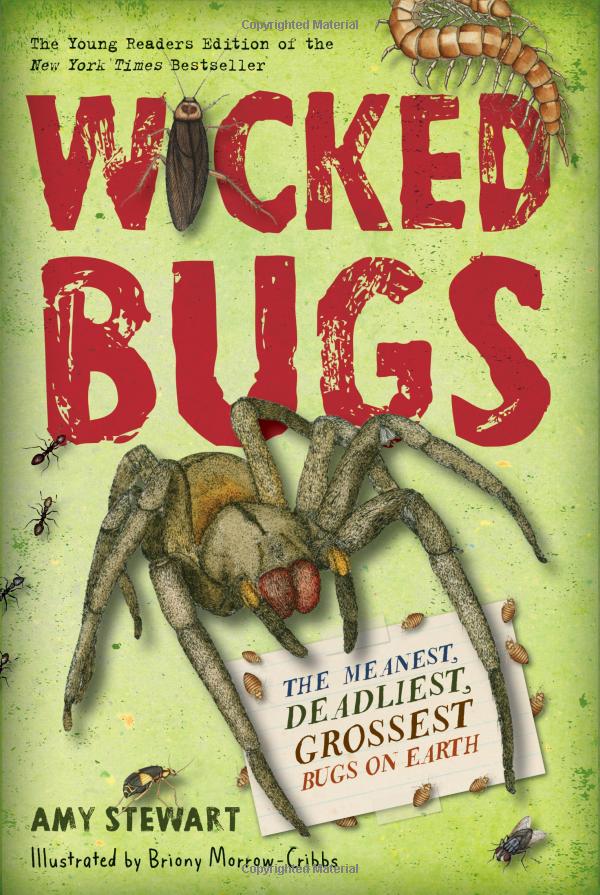 wicked bugs - Ảnh 2
