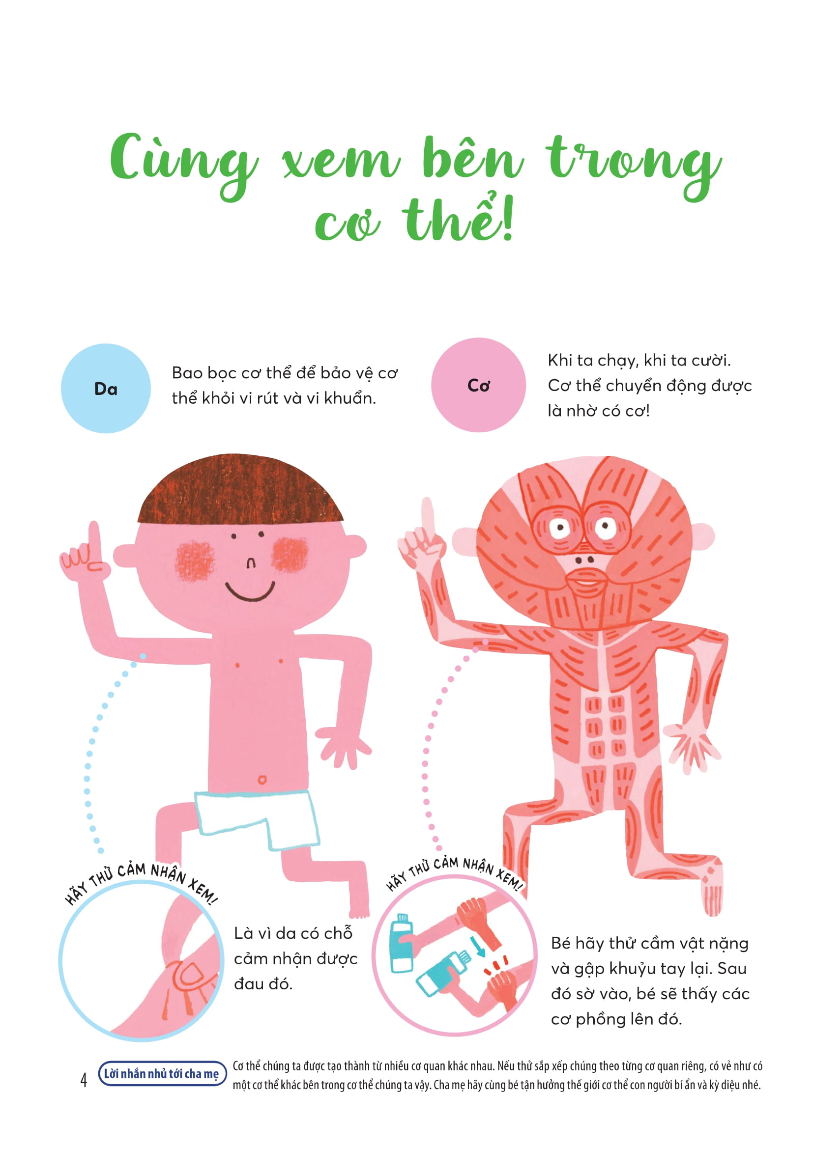 Wiki Wiki Tiền Tiểu Học - Đứa Trẻ Thiên Tài - Bí Ẩn Cơ Thể - Ảnh 4