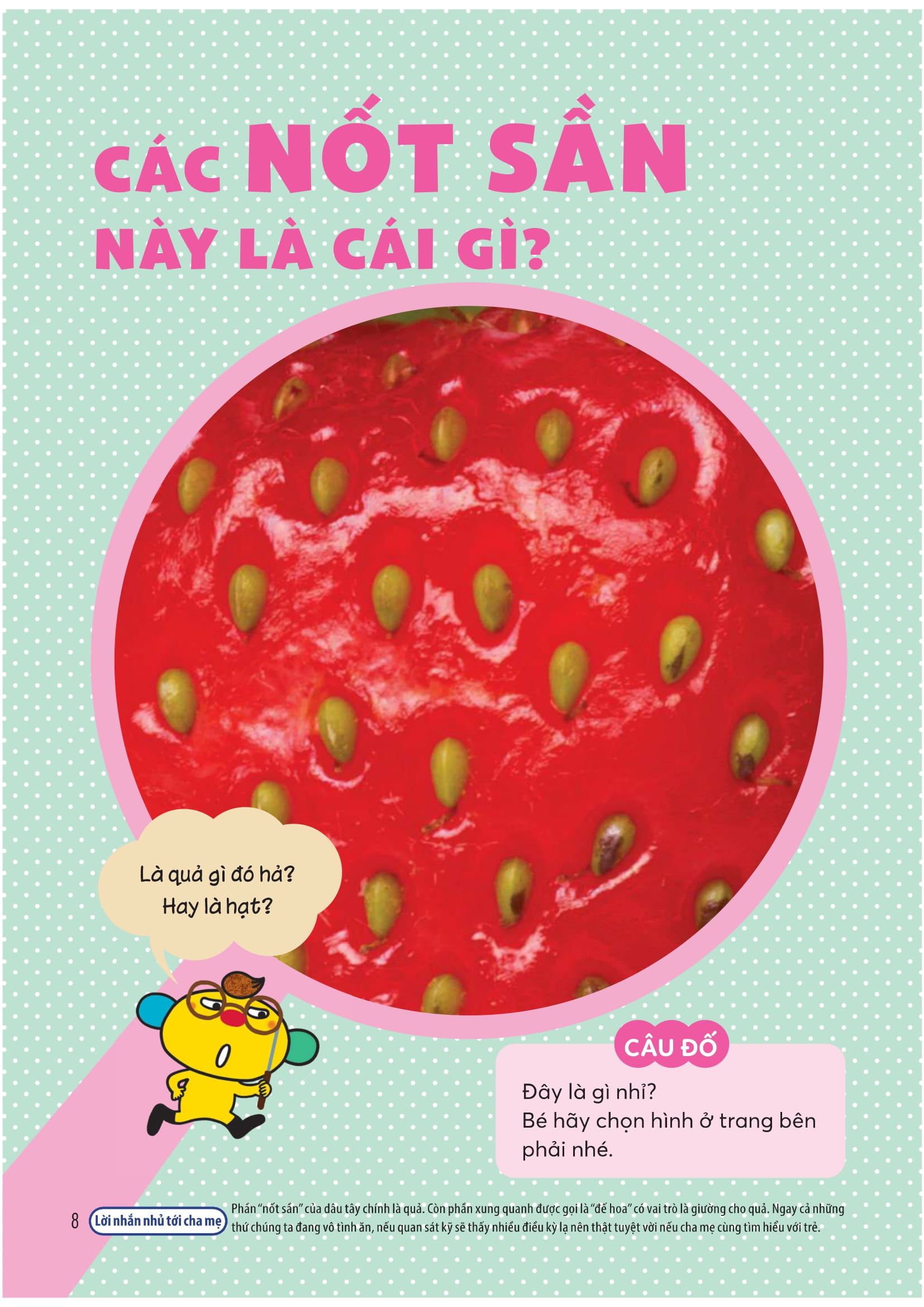 Wiki Wiki Tiền Tiểu Học - Đứa Trẻ Thiên Tài - Khoa Học Kỳ Thú - Ảnh 8