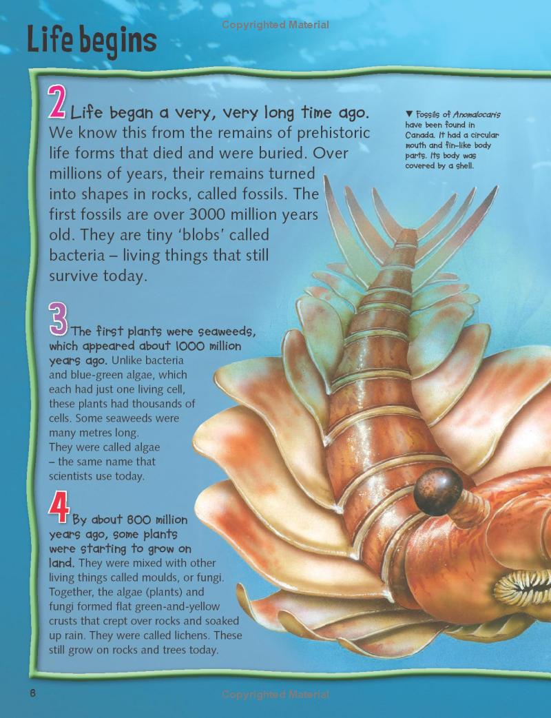 wild about dinosaurs - Ảnh 10