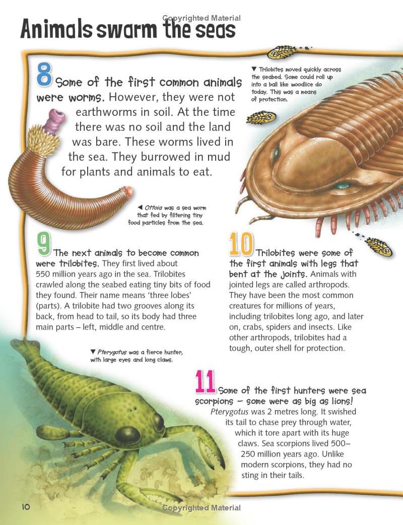 wild about dinosaurs - Ảnh 12