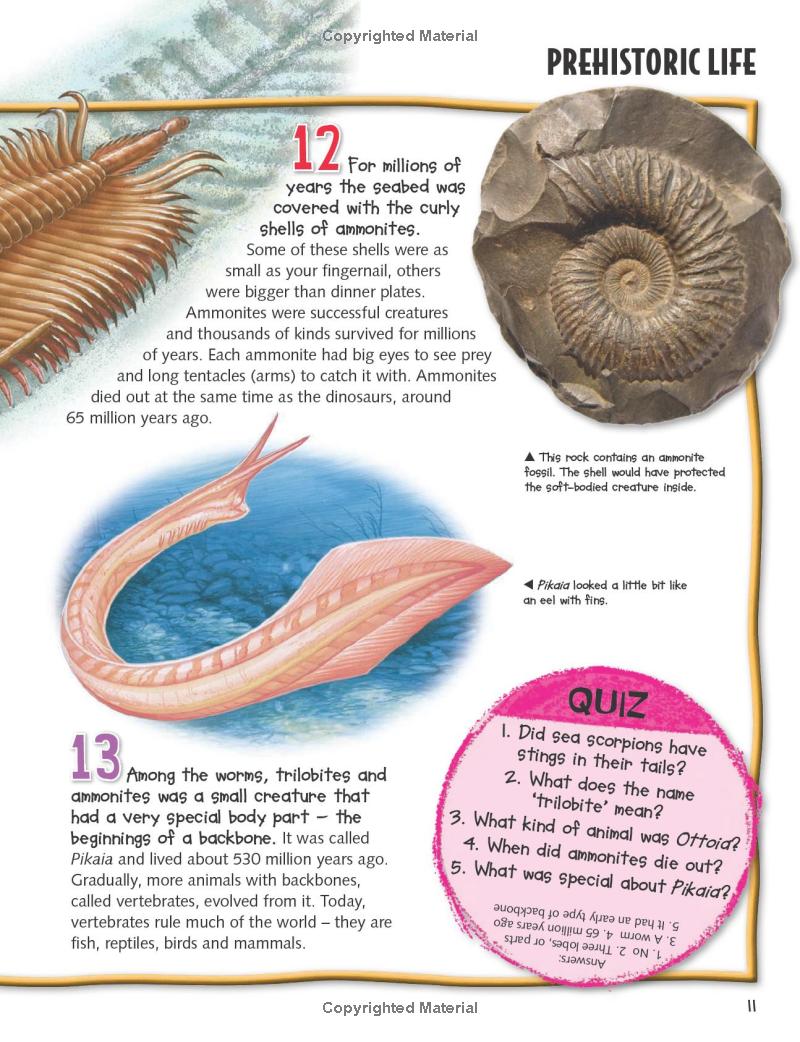 wild about dinosaurs - Ảnh 13