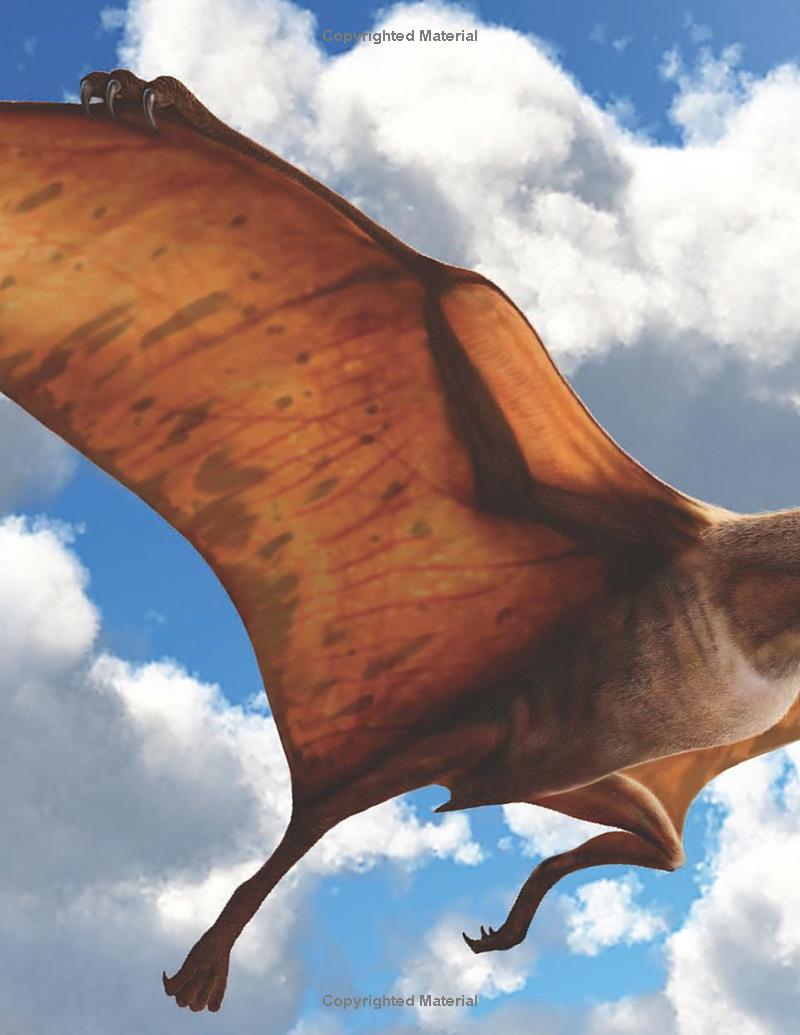 wild about dinosaurs - Ảnh 4