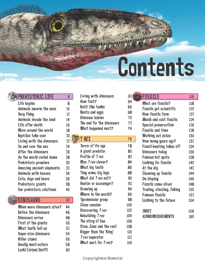 wild about dinosaurs - Ảnh 7