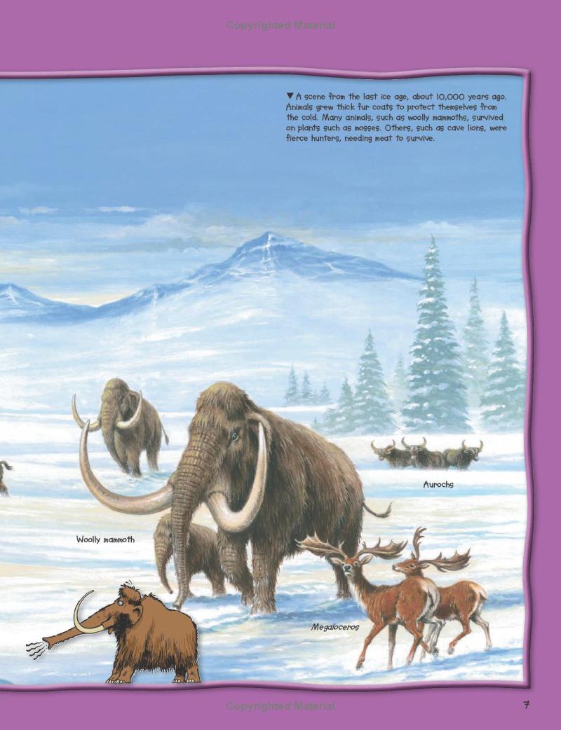 wild about dinosaurs - Ảnh 9