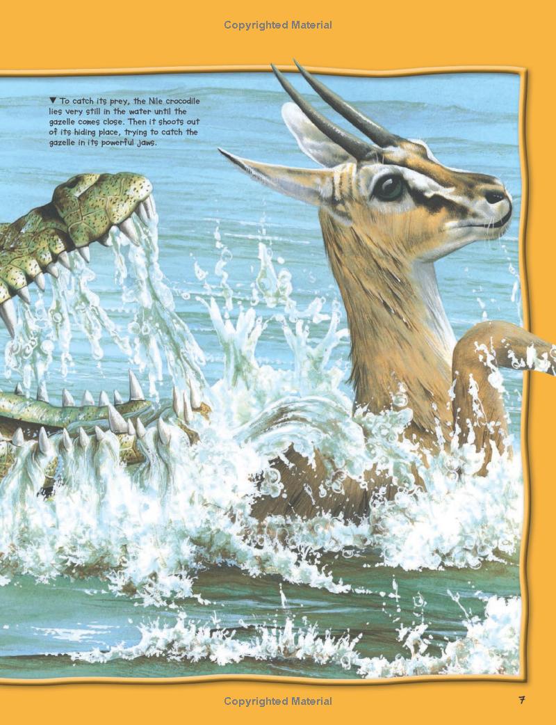 wild about fierce creatures - Ảnh 5