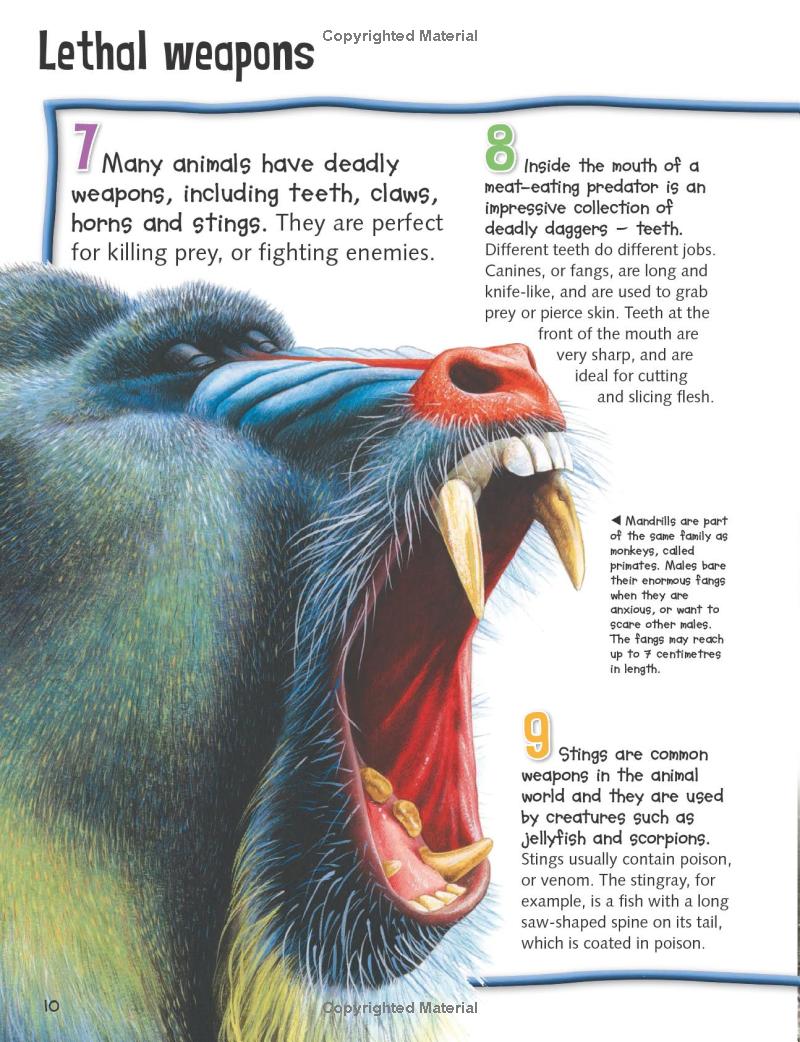 wild about fierce creatures - Ảnh 8