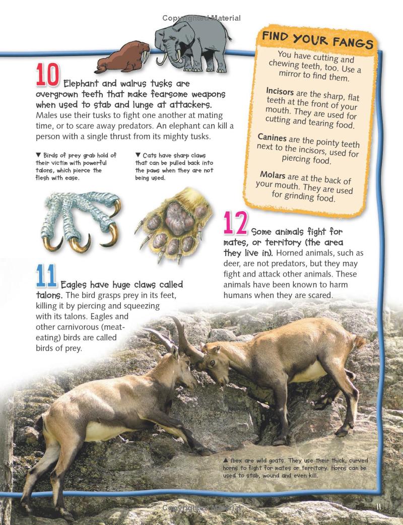 wild about fierce creatures - Ảnh 9