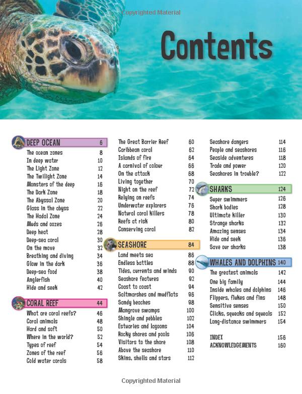 wild about oceans - Ảnh 3