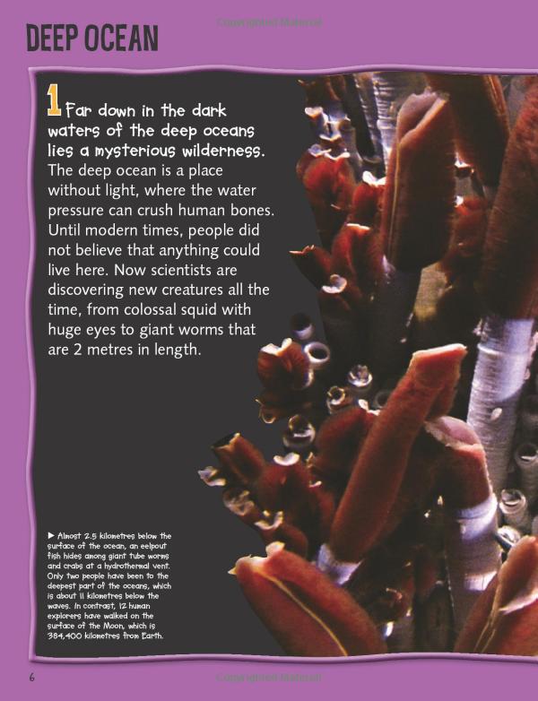 wild about oceans - Ảnh 4