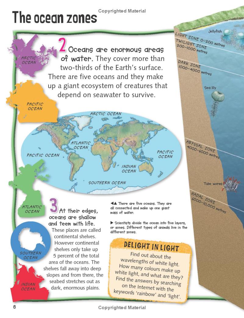 wild about oceans - Ảnh 6