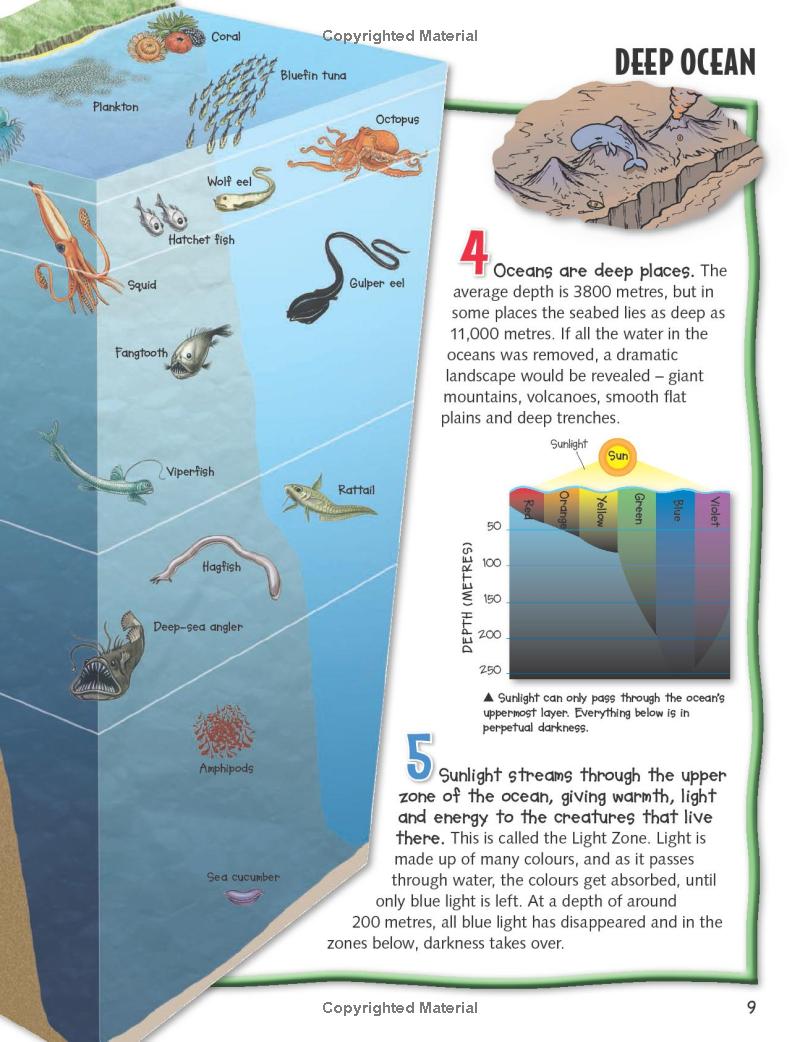 wild about oceans - Ảnh 7