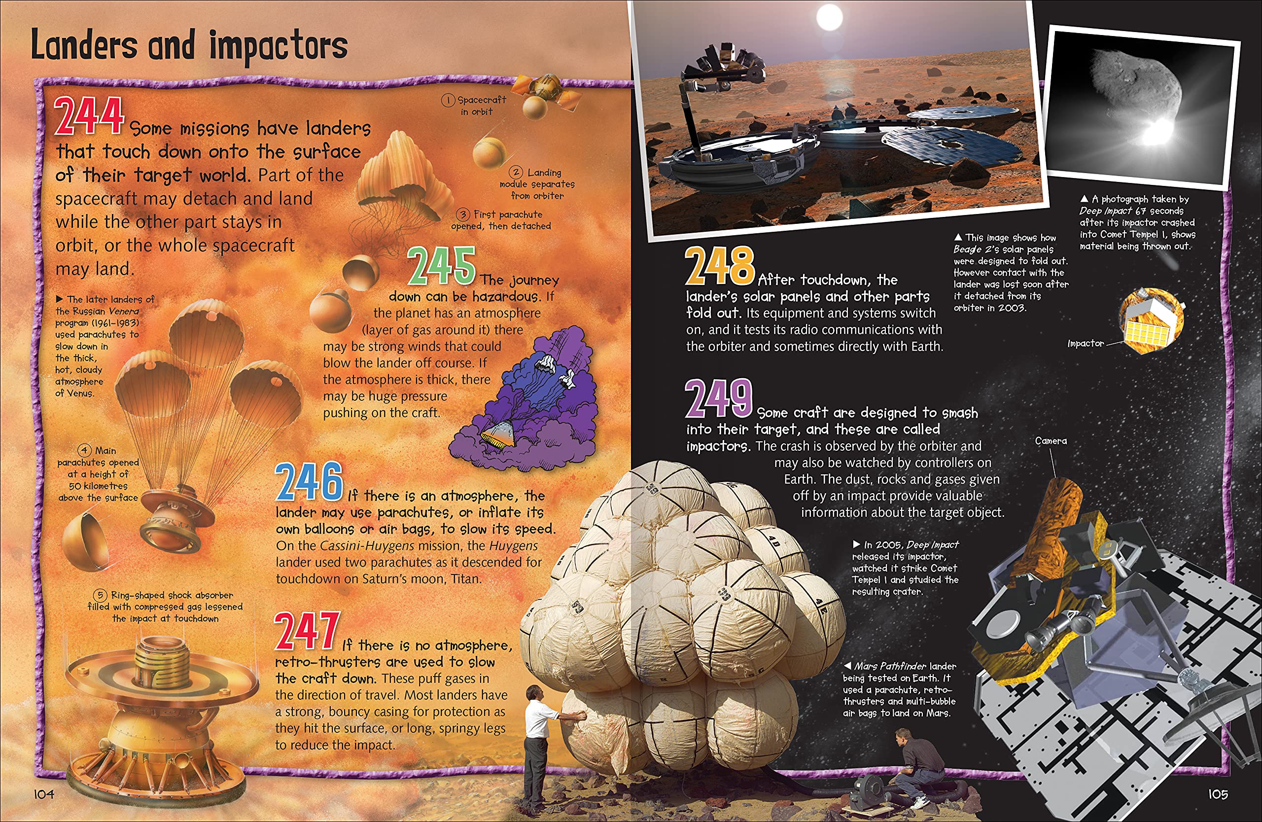 wild about space - Ảnh 4