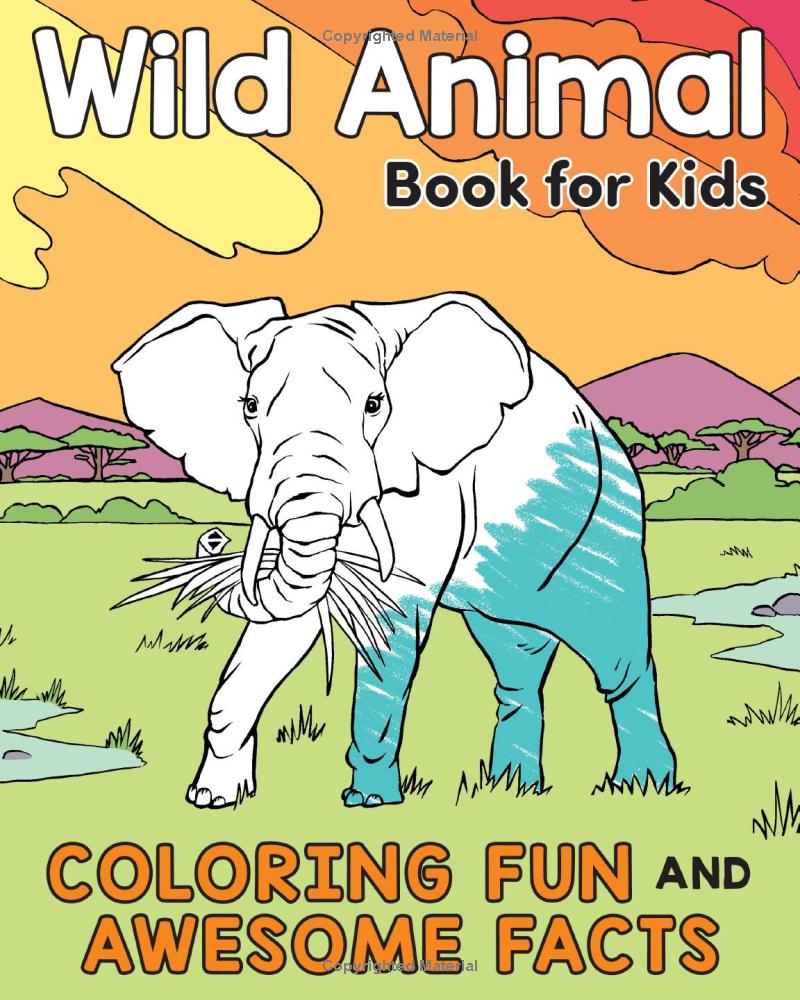 wild animal book for kids - Ảnh 2