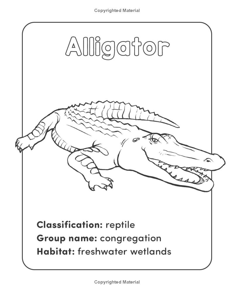 wild animal book for kids - Ảnh 8