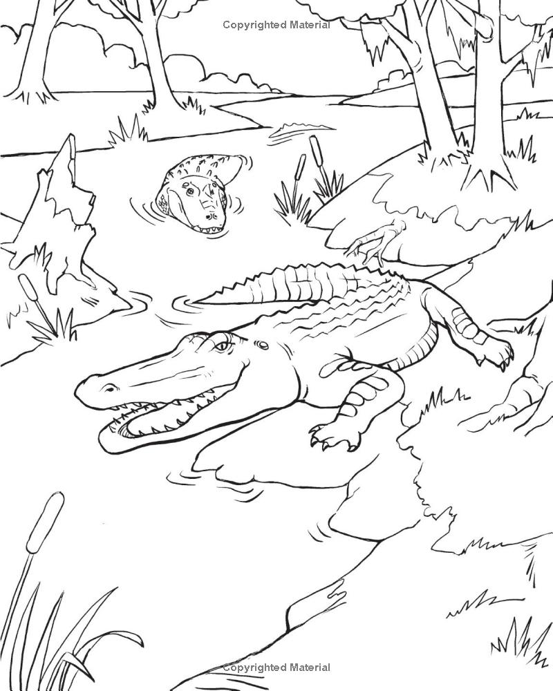 wild animal book for kids - Ảnh 9