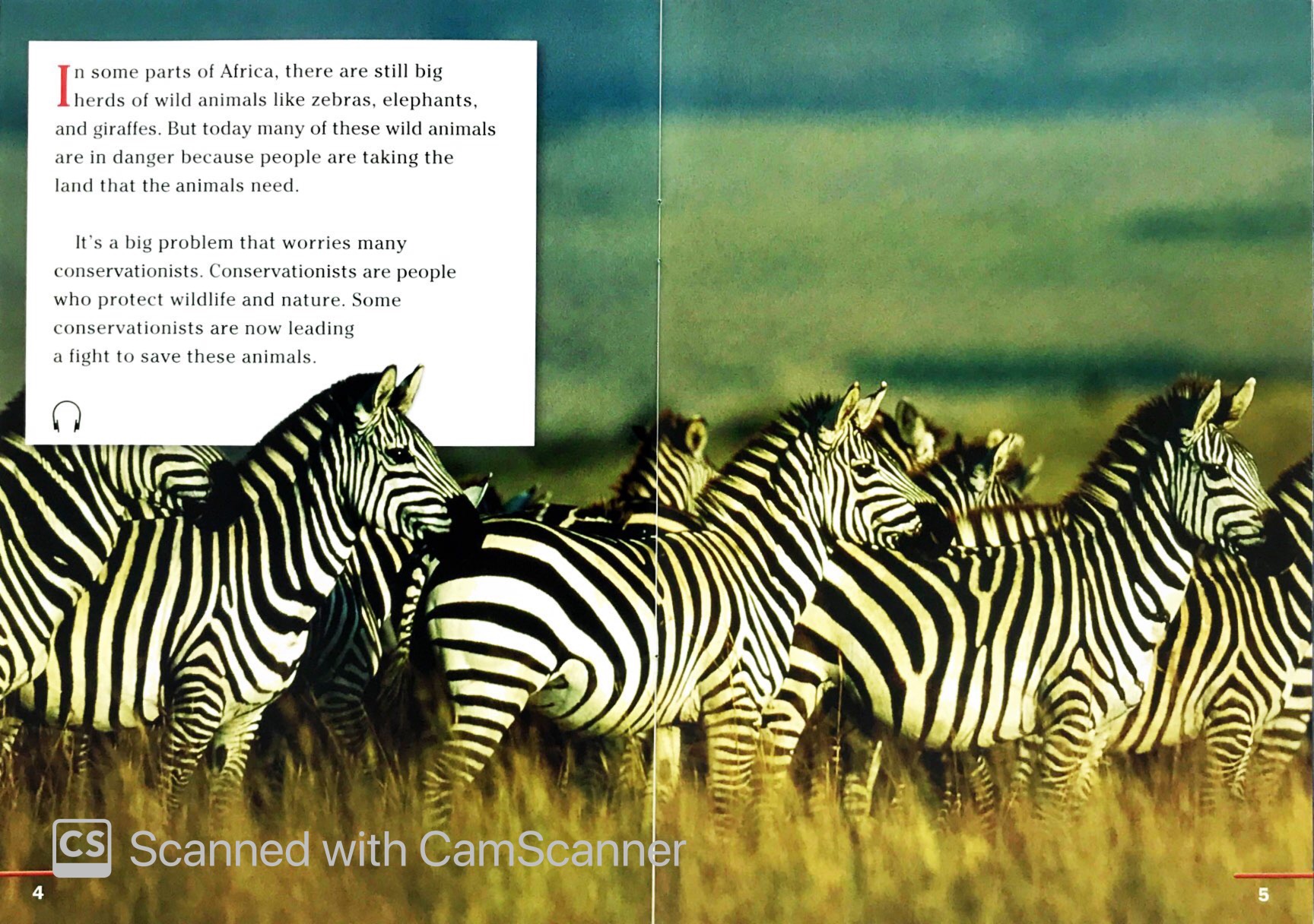 wild animal trackers: footprint reading library 1000 1st edition - Ảnh 3