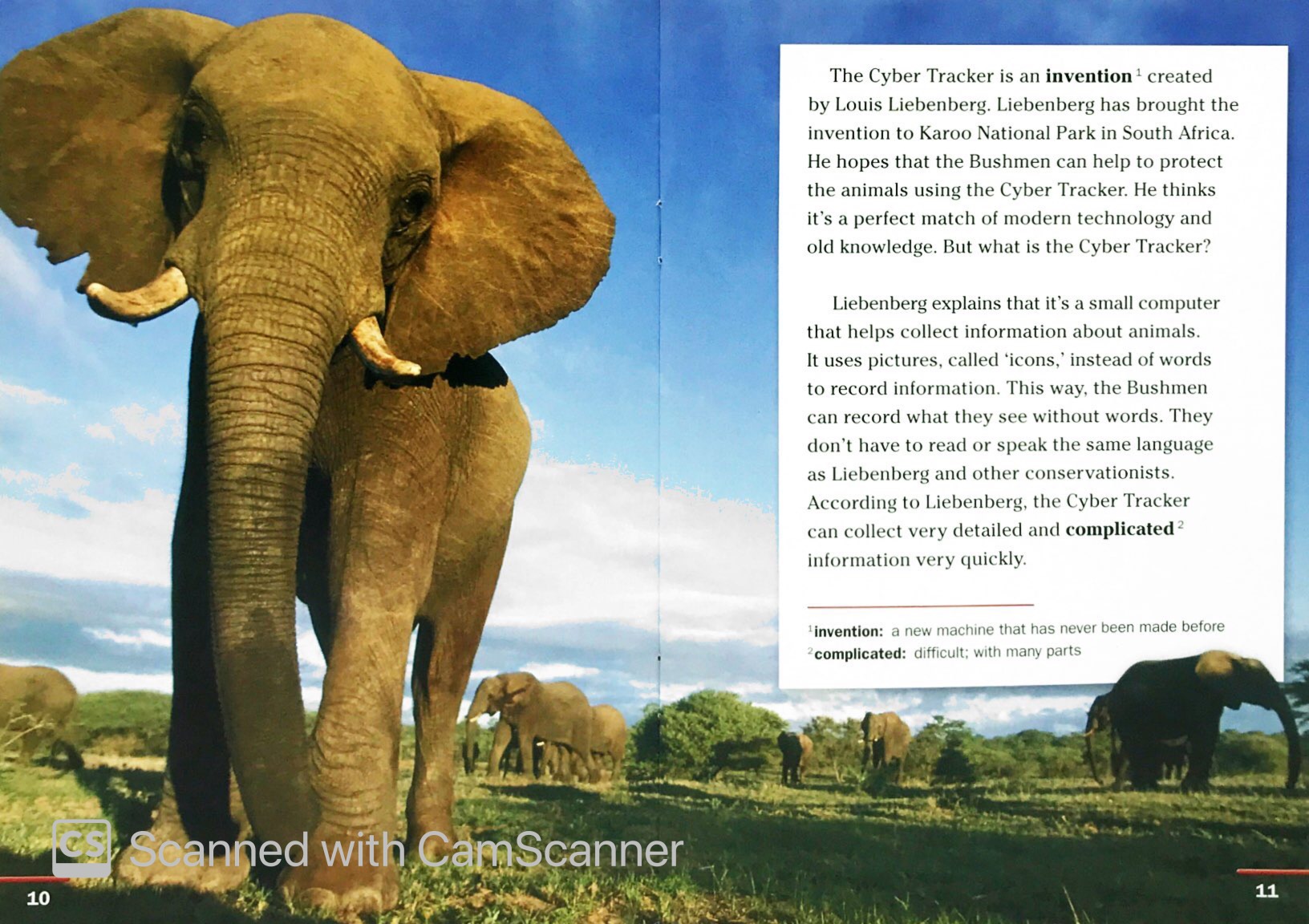 wild animal trackers: footprint reading library 1000 1st edition - Ảnh 6