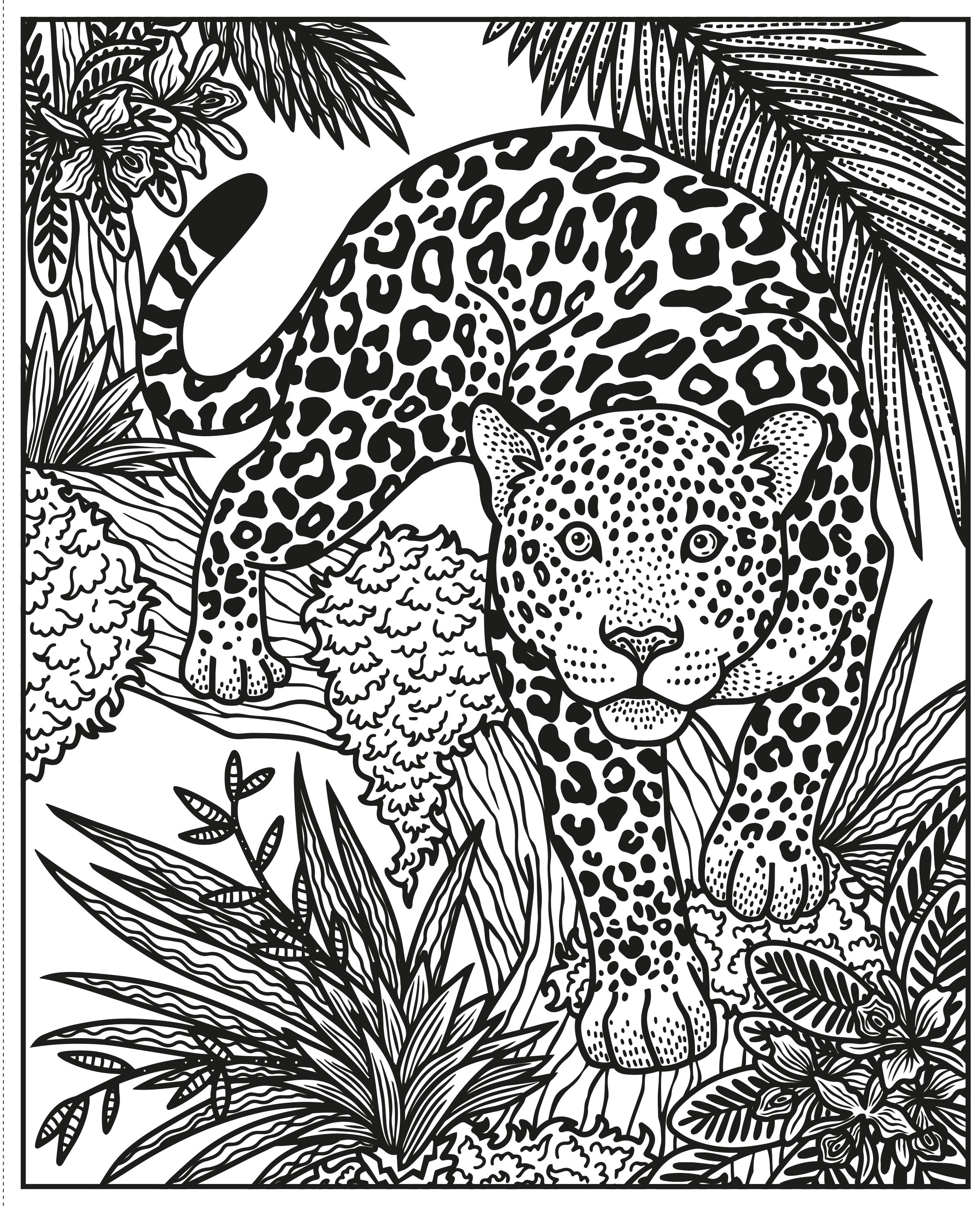 wild animals magic painting book - Ảnh 4