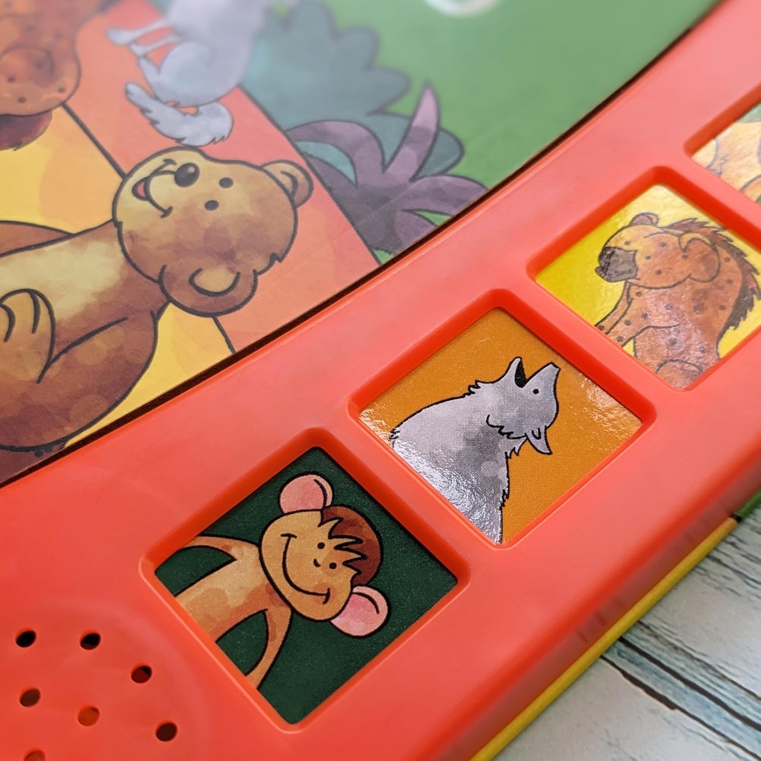 Wild Animals - With 6 Fun Wild Sounds! - Ảnh 6