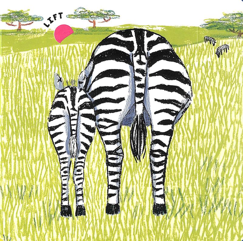 wild bottoms: a lift-the-flap book - Ảnh 5