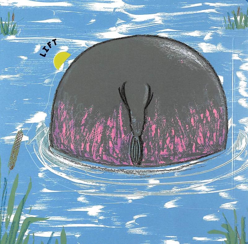 wild bottoms: a lift-the-flap book - Ảnh 6