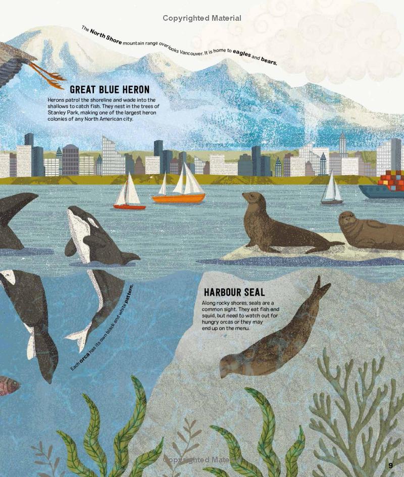 wild city: meet the animals who share our city spaces - Ảnh 10