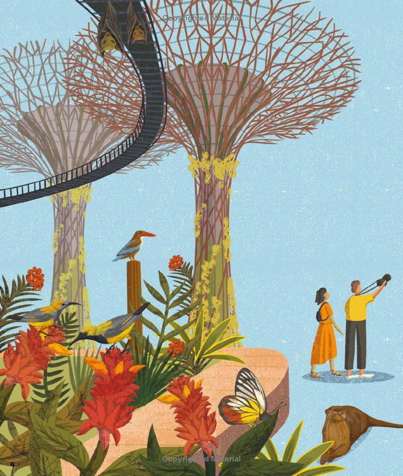 wild city: meet the animals who share our city spaces - Ảnh 5