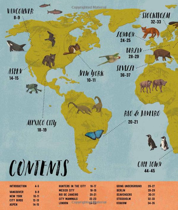 wild city: meet the animals who share our city spaces - Ảnh 7